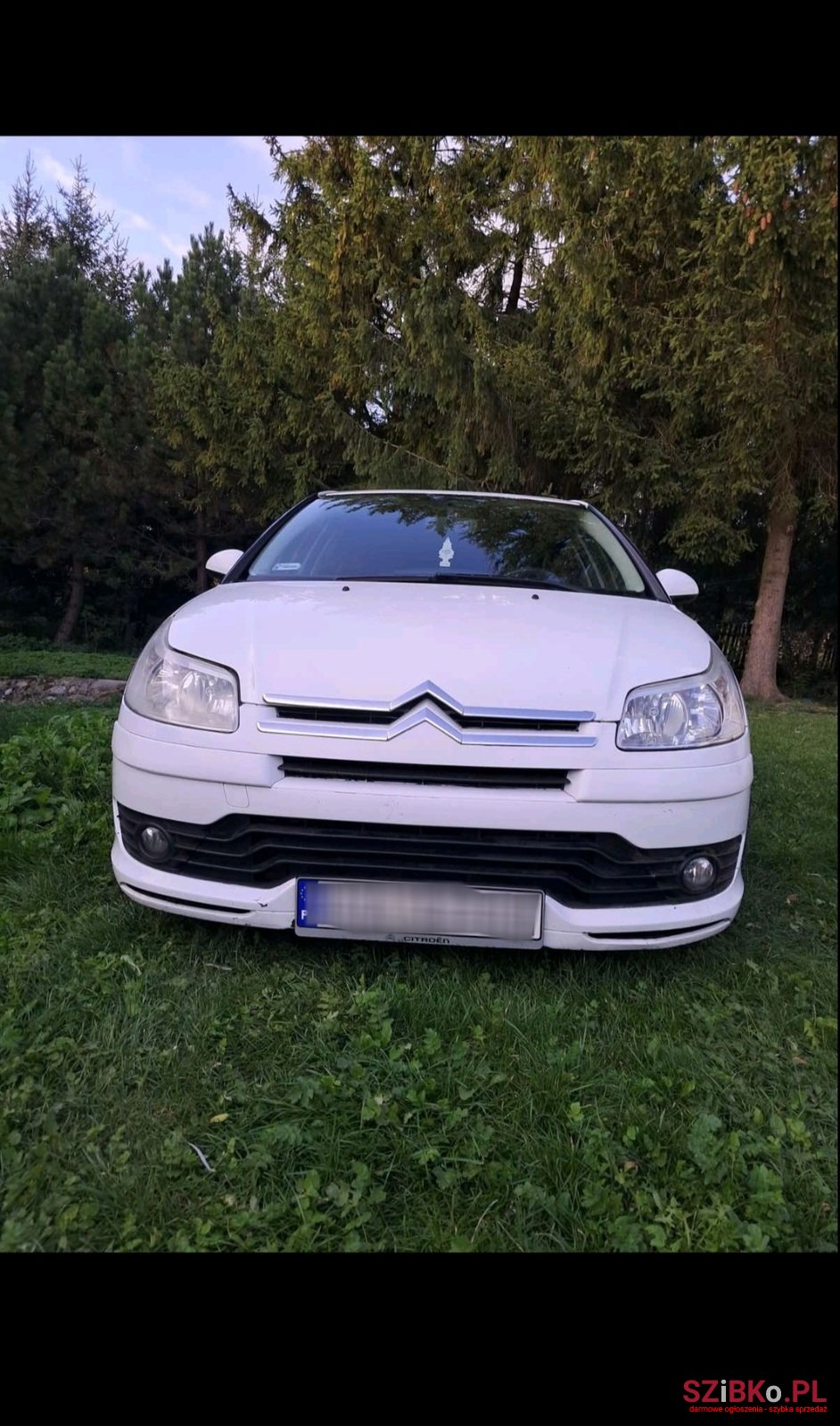 2007' Citroen C4 photo #2