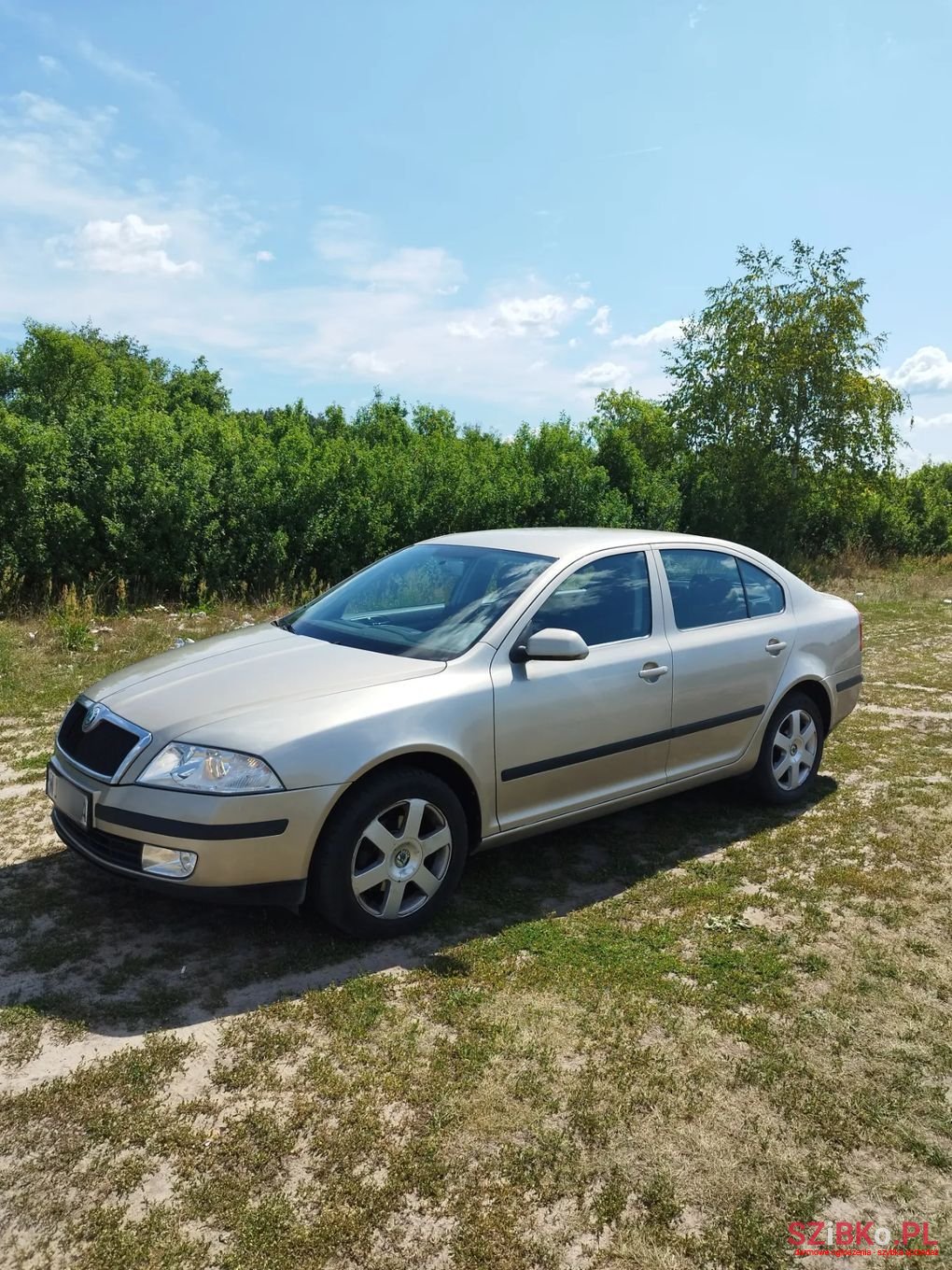2005' Skoda Octavia photo #1