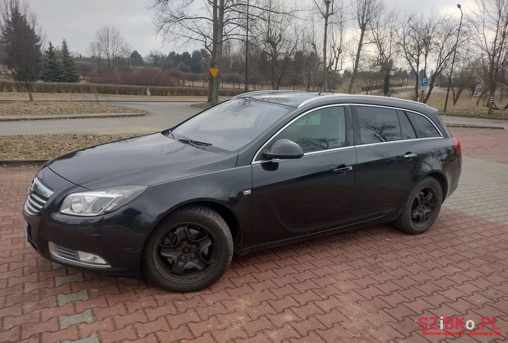 2010' Opel Insignia photo #2