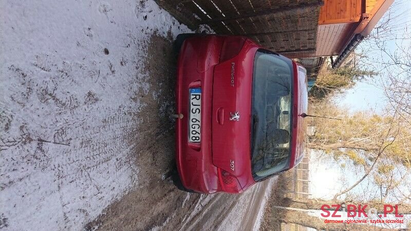 2001' Peugeot 307 photo #4