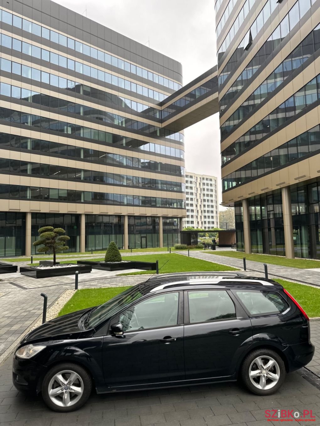 2010' Ford Focus photo #3