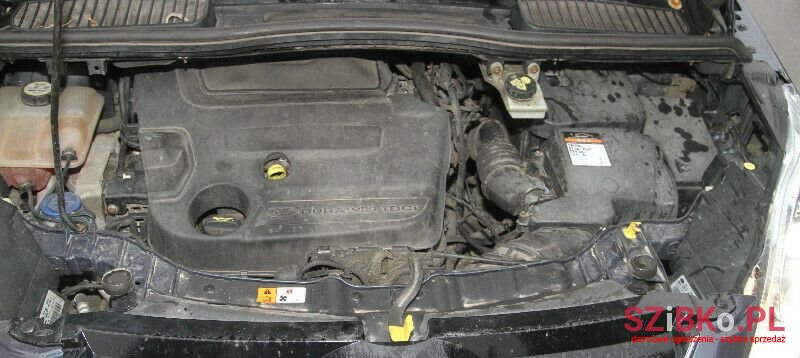 2011' Ford C-MAX photo #6