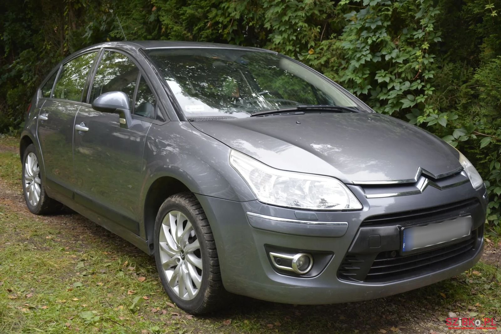 2009' Citroen C4 photo #2