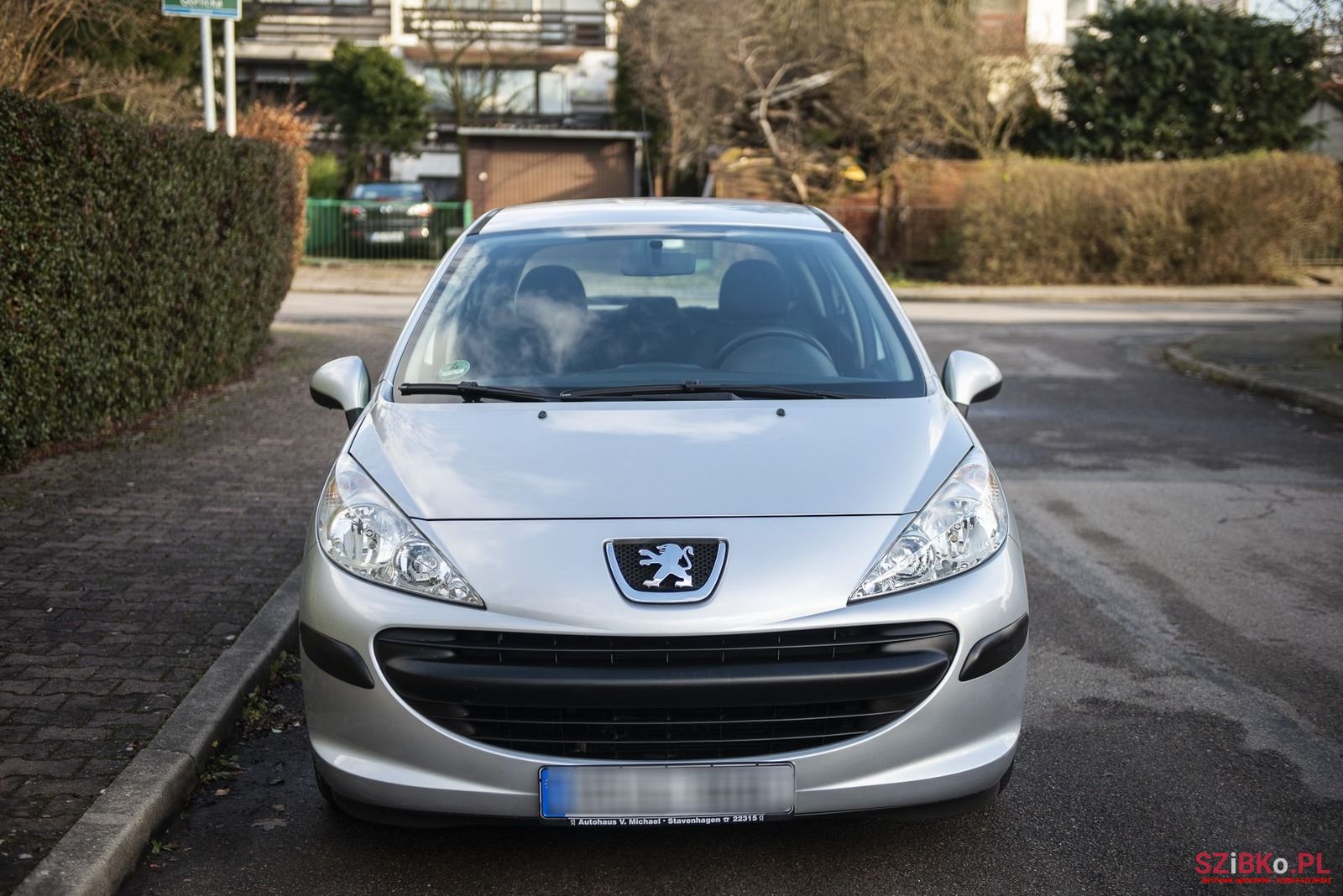 2007' Peugeot 207 photo #2
