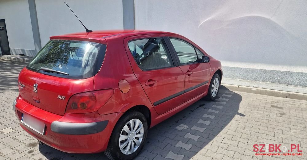 2003' Peugeot 307 1.6 photo #3