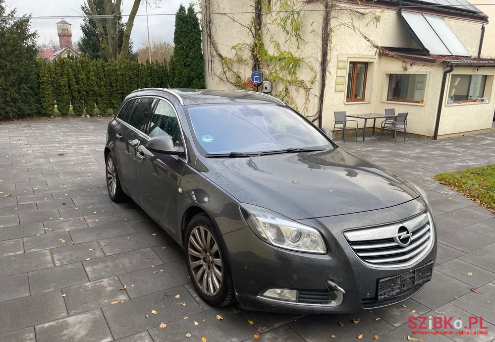 2010' Opel Insignia photo #2