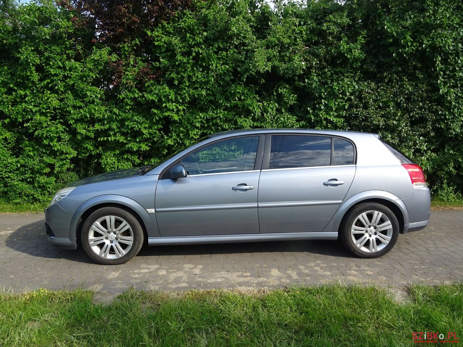 2005' Opel Signum photo #1