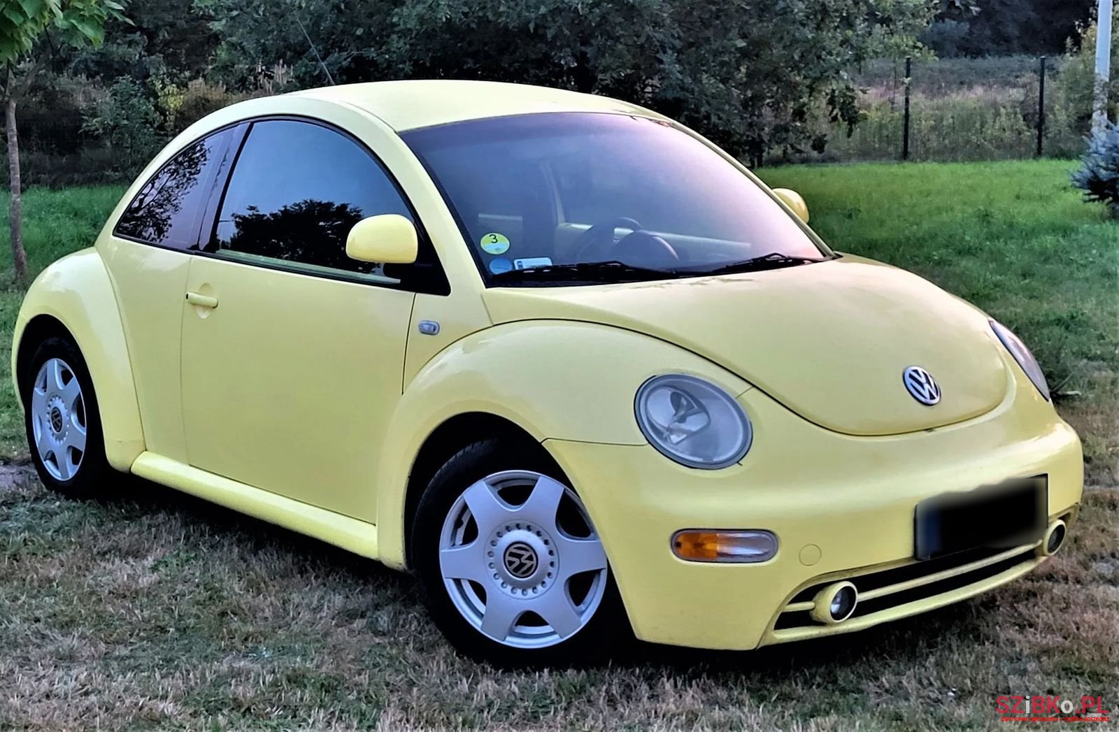 1998' Volkswagen New Beetle photo #1