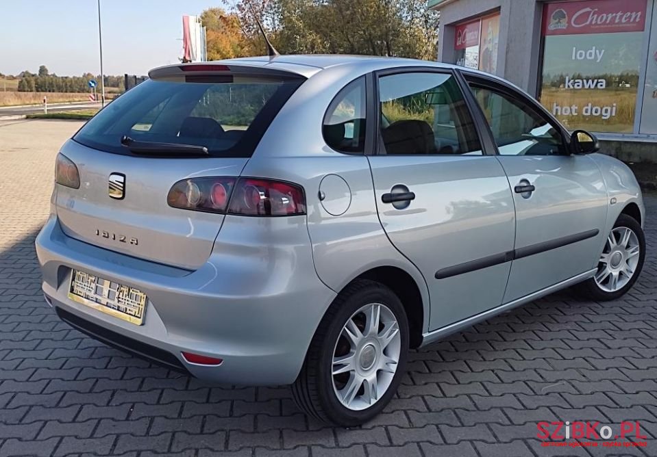 2007' SEAT Ibiza photo #2