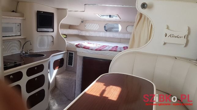 2008' Rinker photo #2