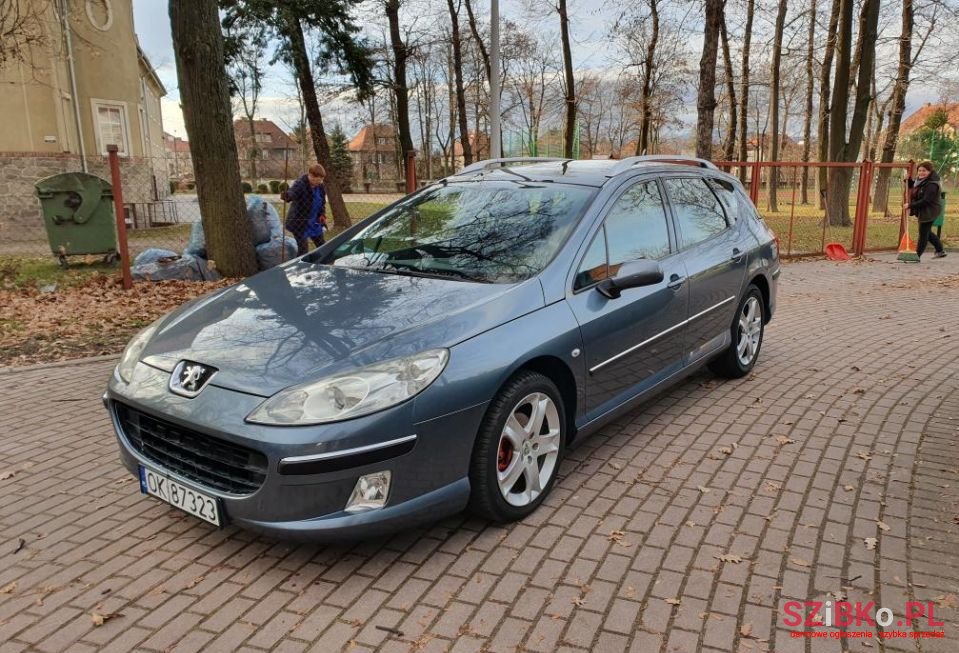 2005' Peugeot 407 photo #2
