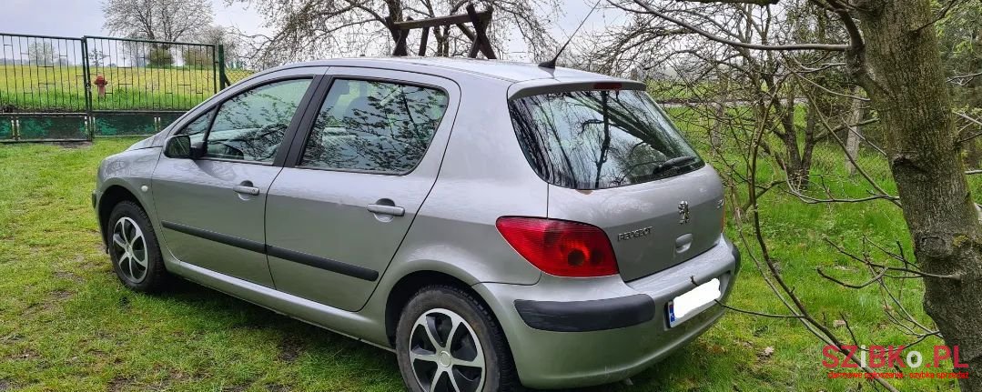 2003' Peugeot 307 photo #5