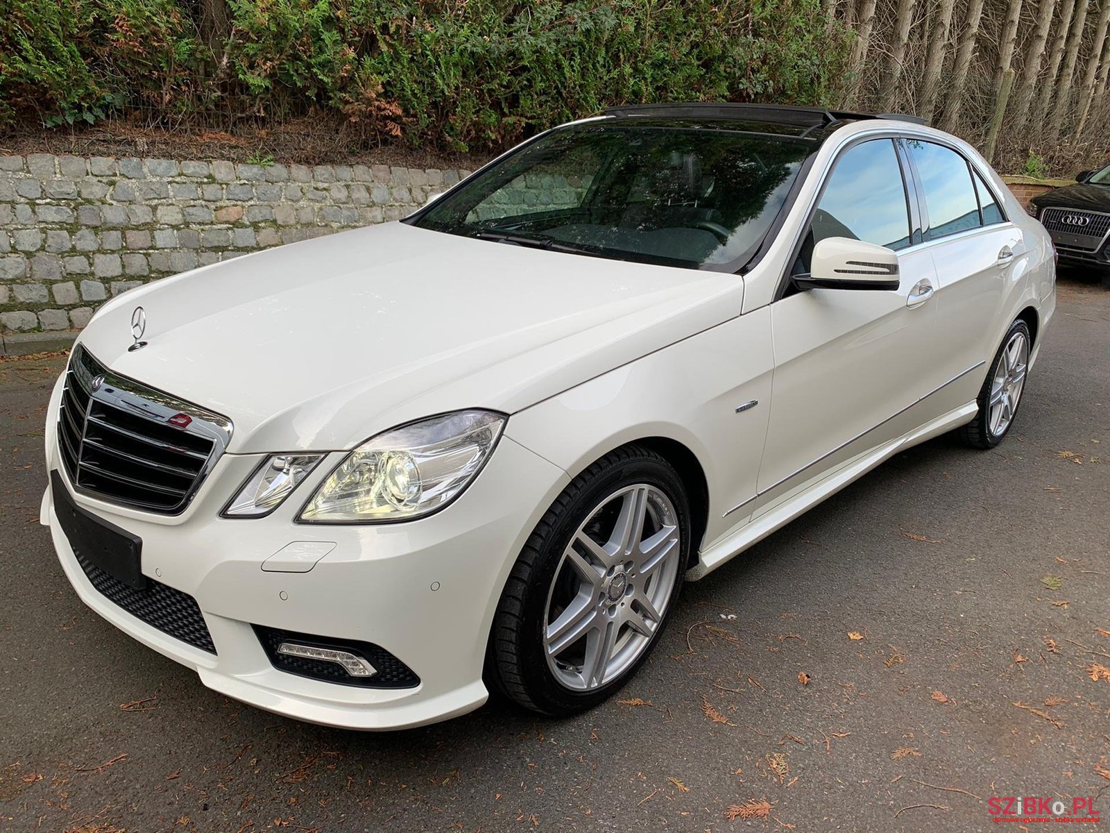 2011' Mercedes-Benz E 220 AMG Paket photo #2