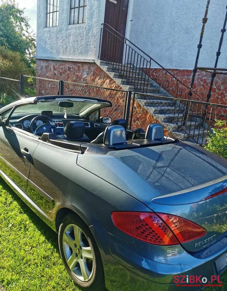 2004' Peugeot 307 2.0 photo #5