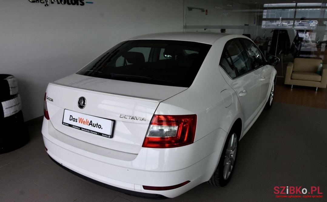 2019' Skoda Octavia photo #4