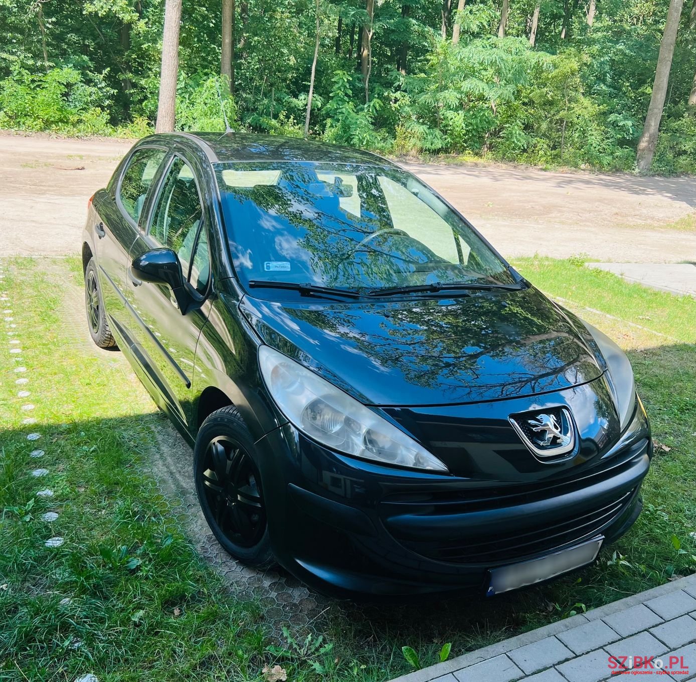 2008' Peugeot 207 photo #2