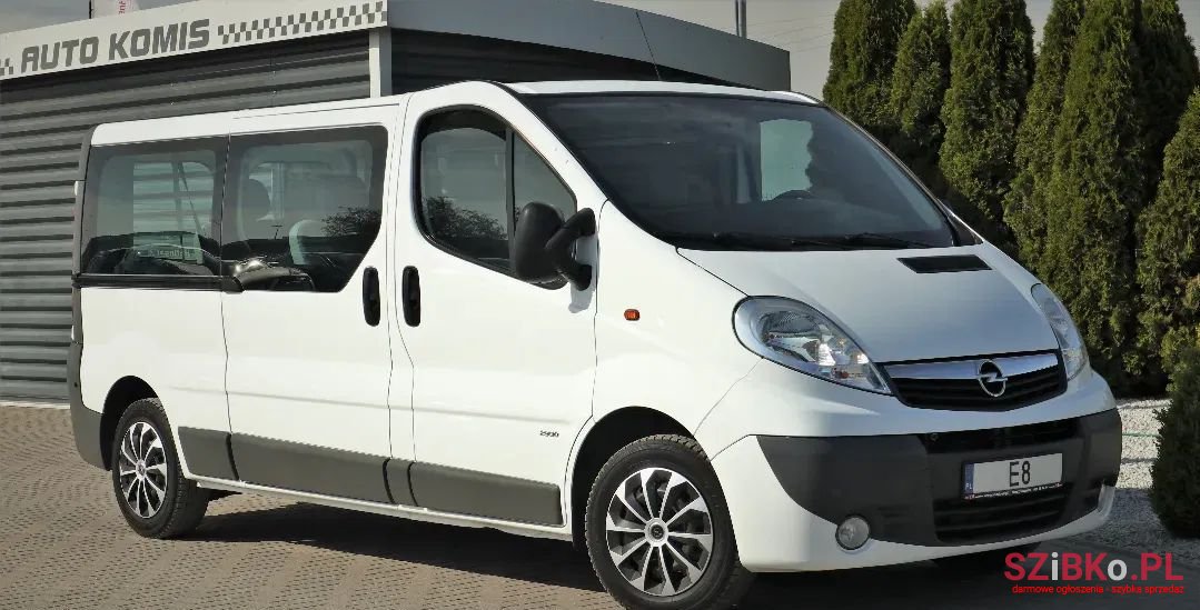 2009' Opel Vivaro photo #2