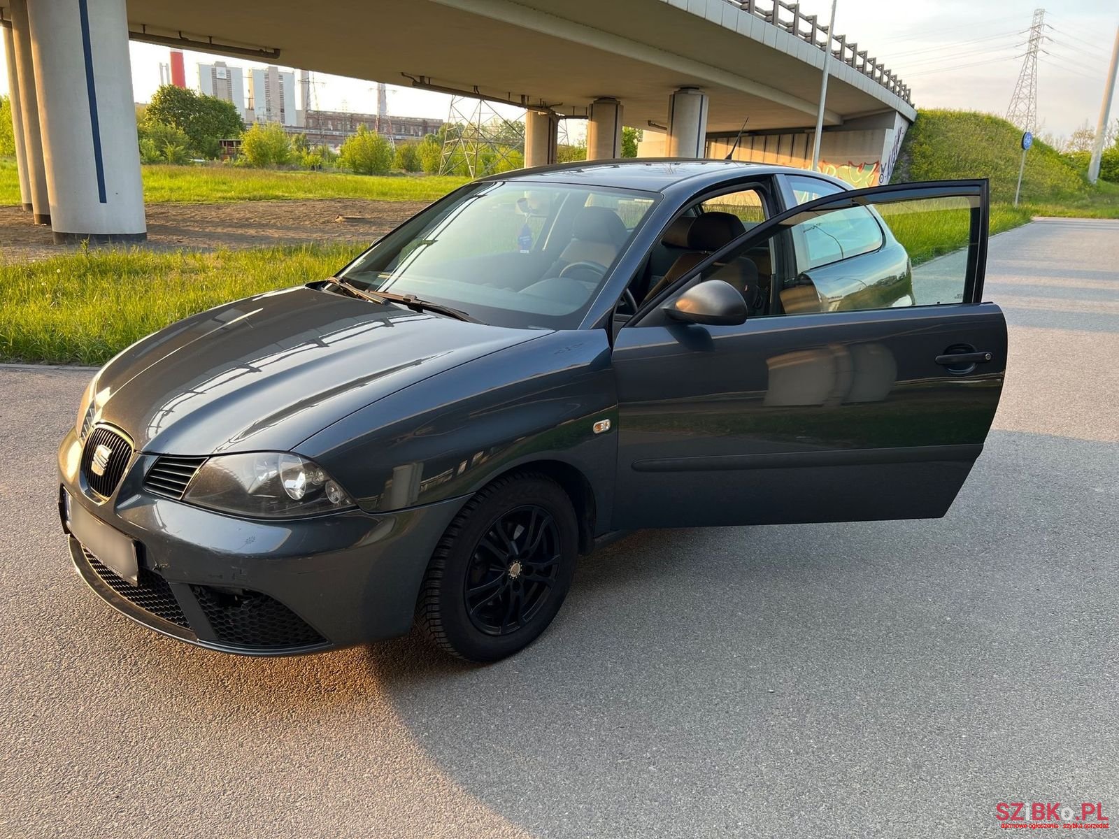 2008' SEAT Ibiza photo #2