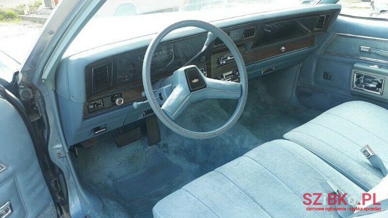 1979' Chevrolet Caprice photo #5