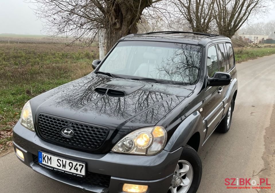 2006' Hyundai Terracan photo #2