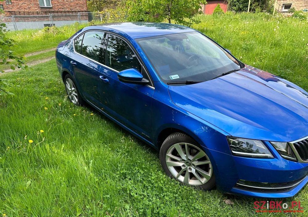 2019' Skoda Octavia photo #3