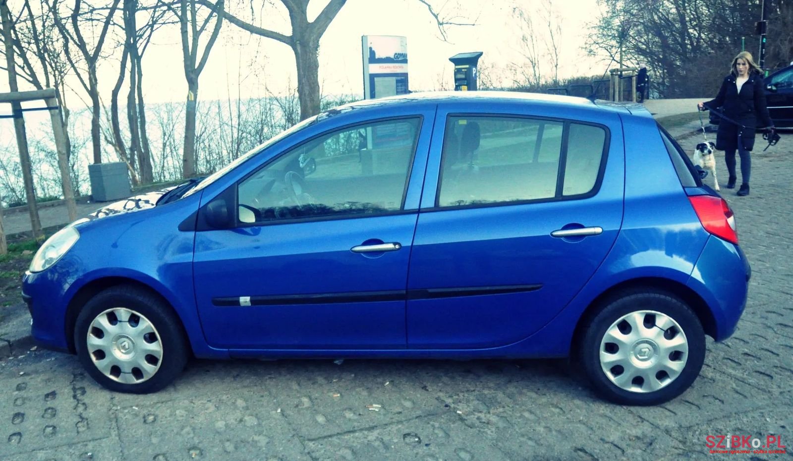 2008' Renault Clio photo #1