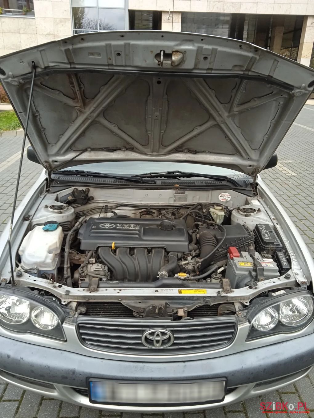 2000' Toyota Corolla photo #5