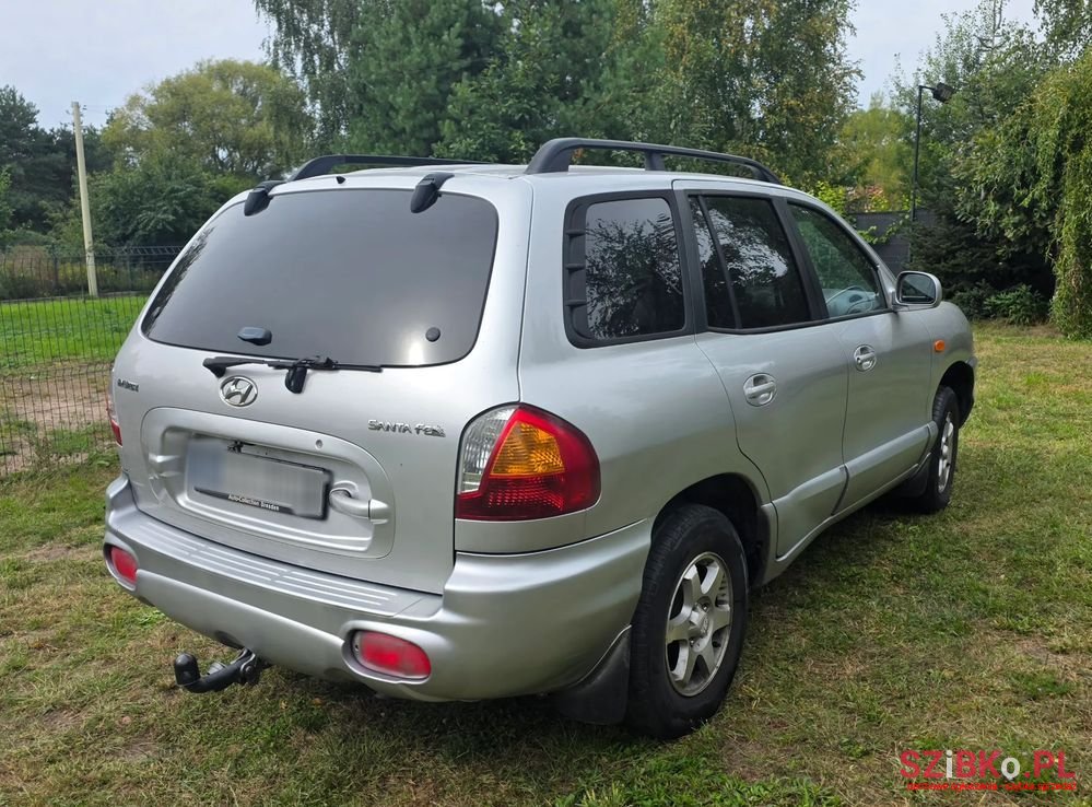 2003' Hyundai Santa Fe photo #3