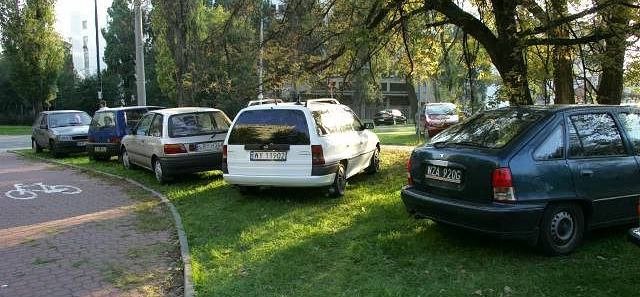 Kara za parkowanie na trawniku może wynieść 1000 zł