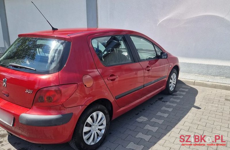 2003' Peugeot 307 1.6 photo #3