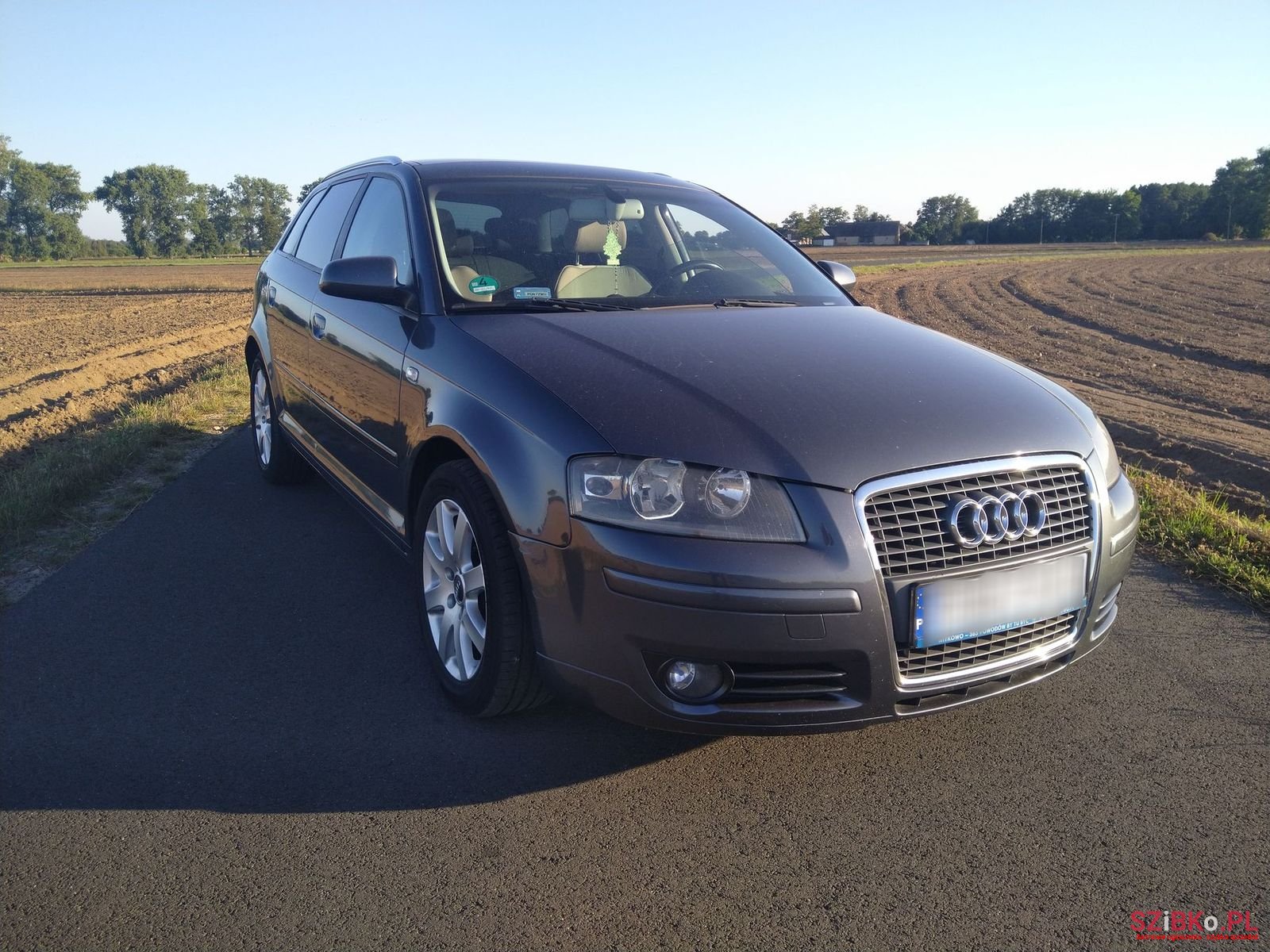 2007' Audi A3 photo #1