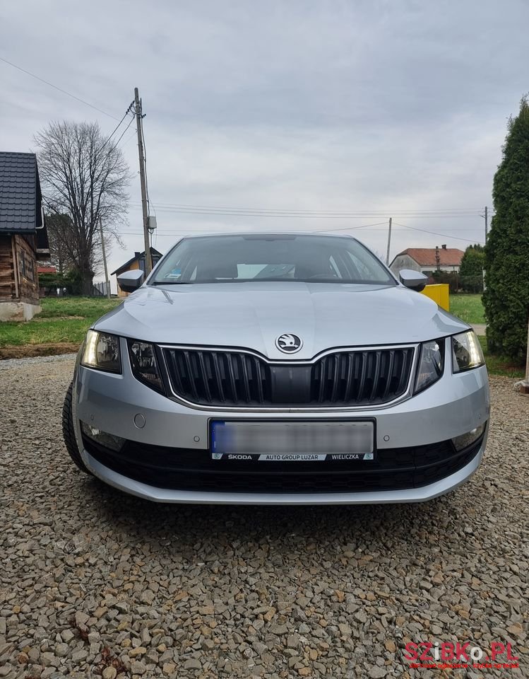 2019' Skoda Octavia photo #2