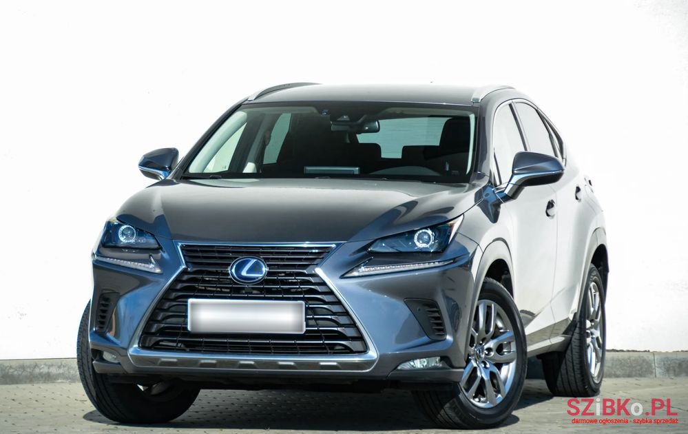 2019' Lexus NX photo #1
