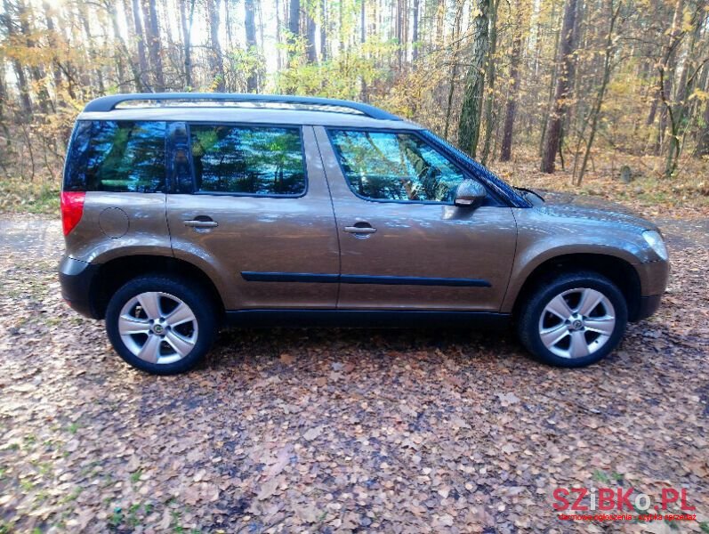 2010' Skoda Yeti photo #3