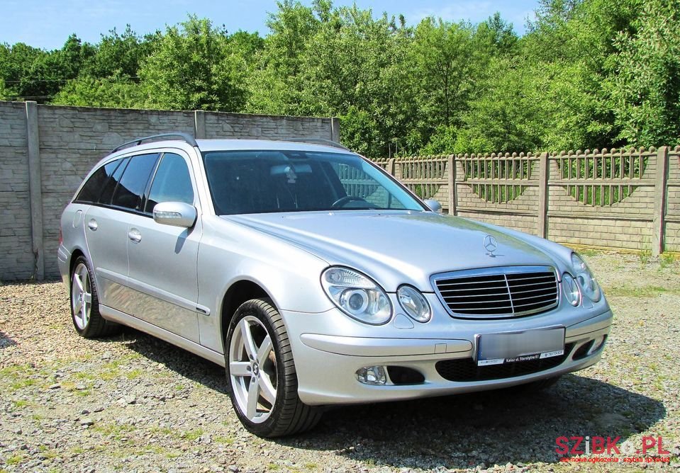 2003' Mercedes-Benz E-Class photo #2