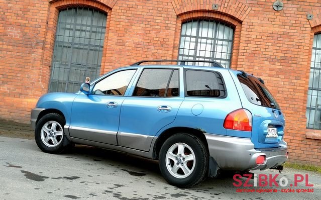 2003' Hyundai Santa Fe photo #5