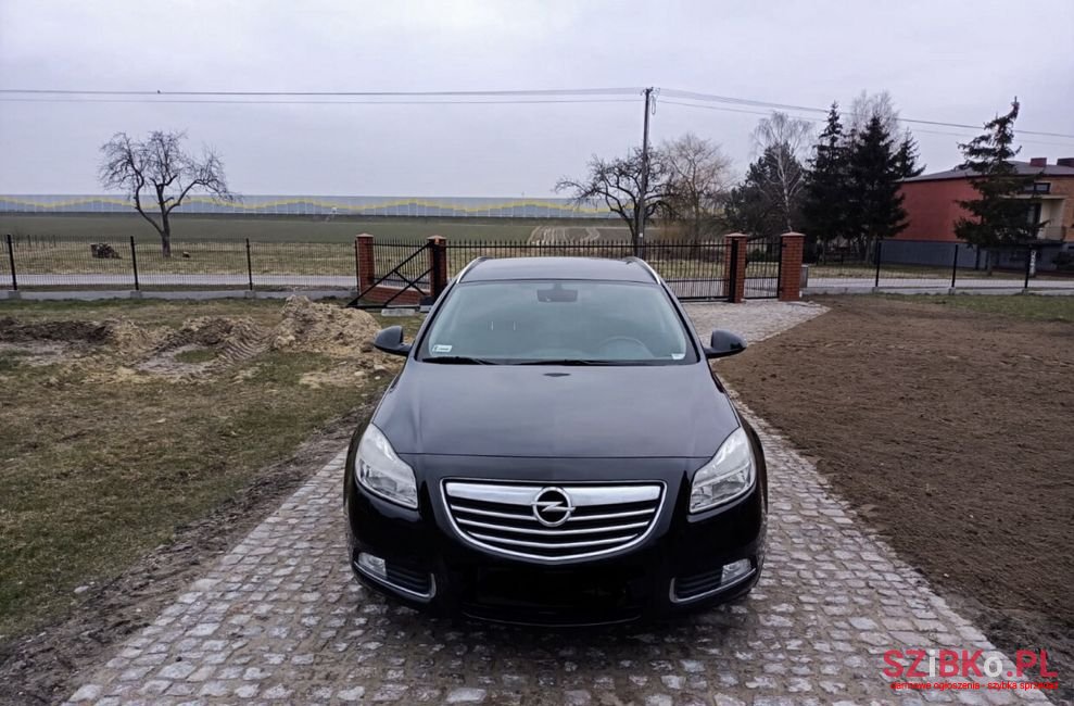 2010' Opel Insignia photo #6