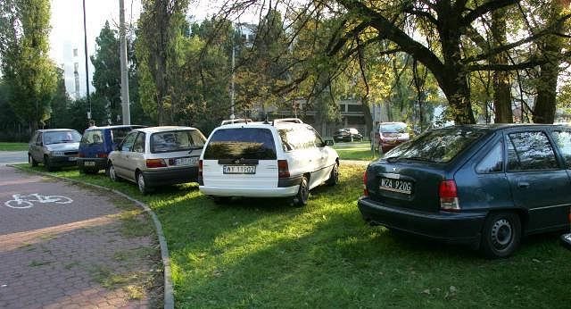 Kara za parkowanie na trawniku może wynieść 1000 zł