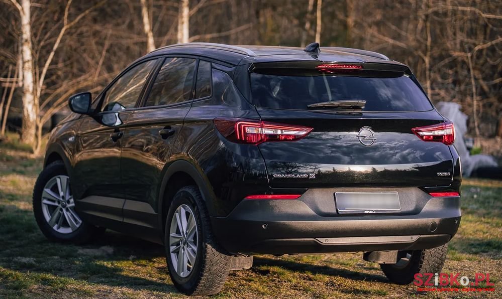 2018' Opel Grandland X photo #5