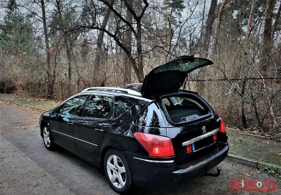 2007' Peugeot 407 photo #3