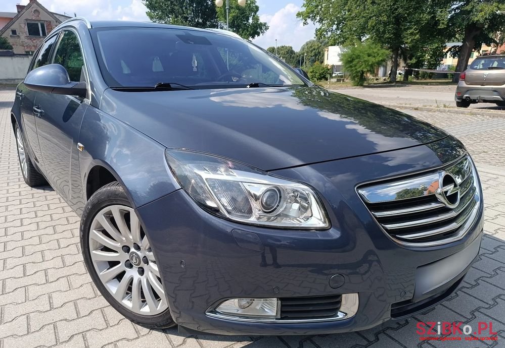 2010' Opel Insignia photo #1