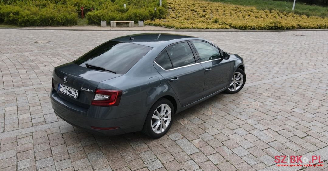 2017' Skoda Octavia photo #5