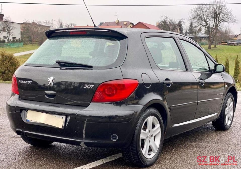 2005' Peugeot 307 Sport photo #6