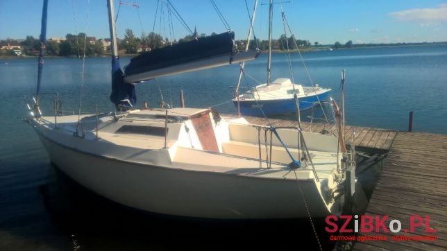 2013' Sasanka photo #1