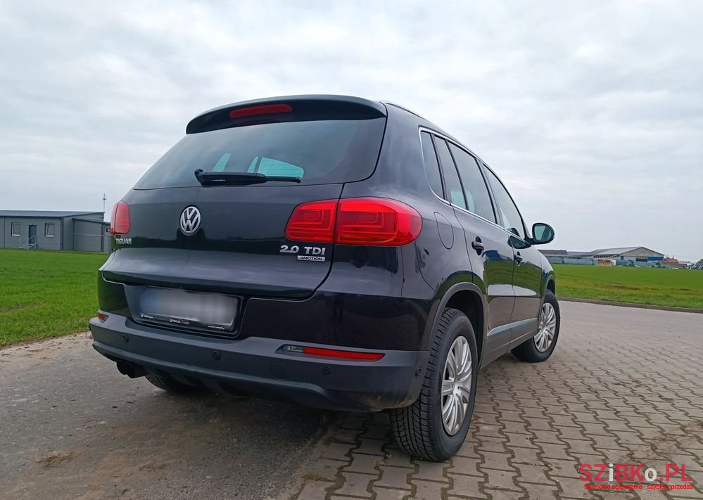 2013' Volkswagen Tiguan photo #4