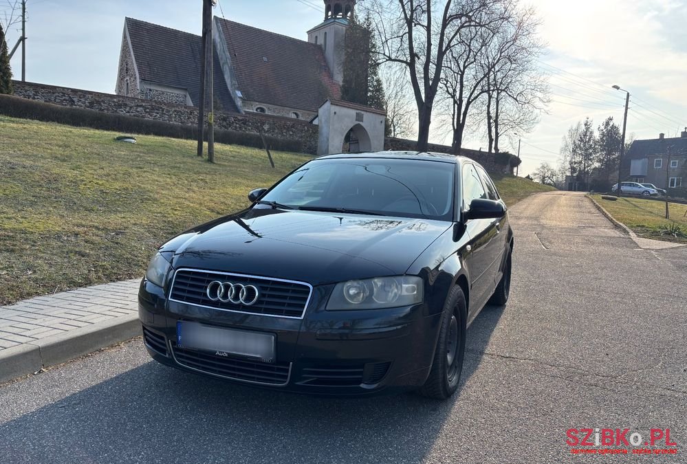 2004' Audi A3 1.6 Ambition photo #4