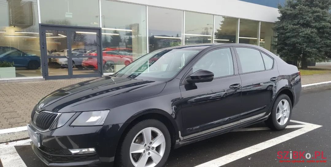2019' Skoda Octavia photo #1