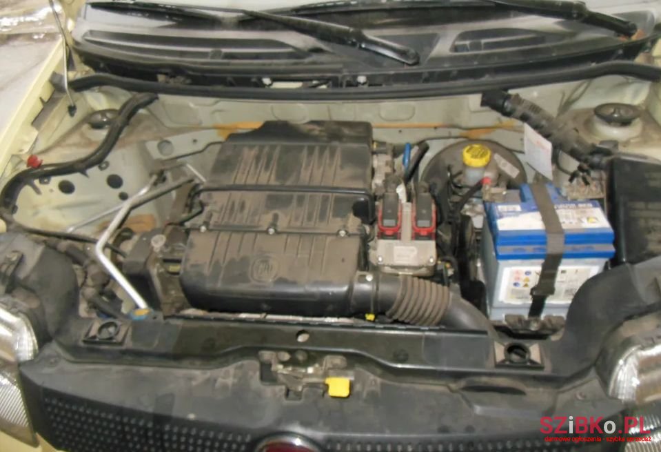 2011' Fiat Panda photo #5