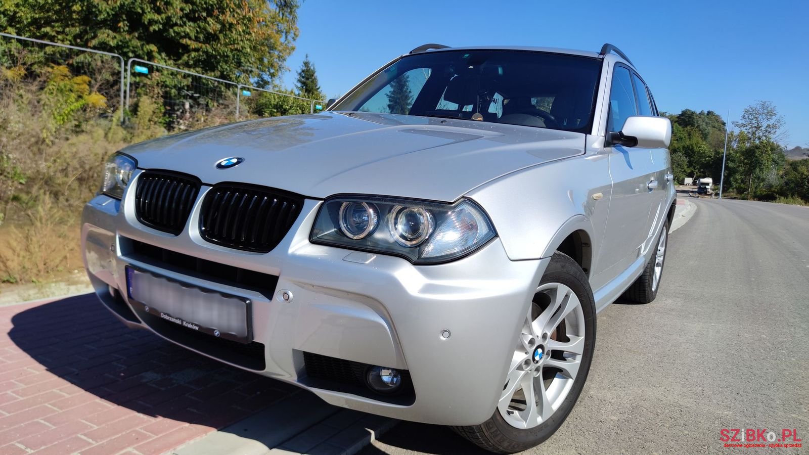 2008' BMW X3 photo #1