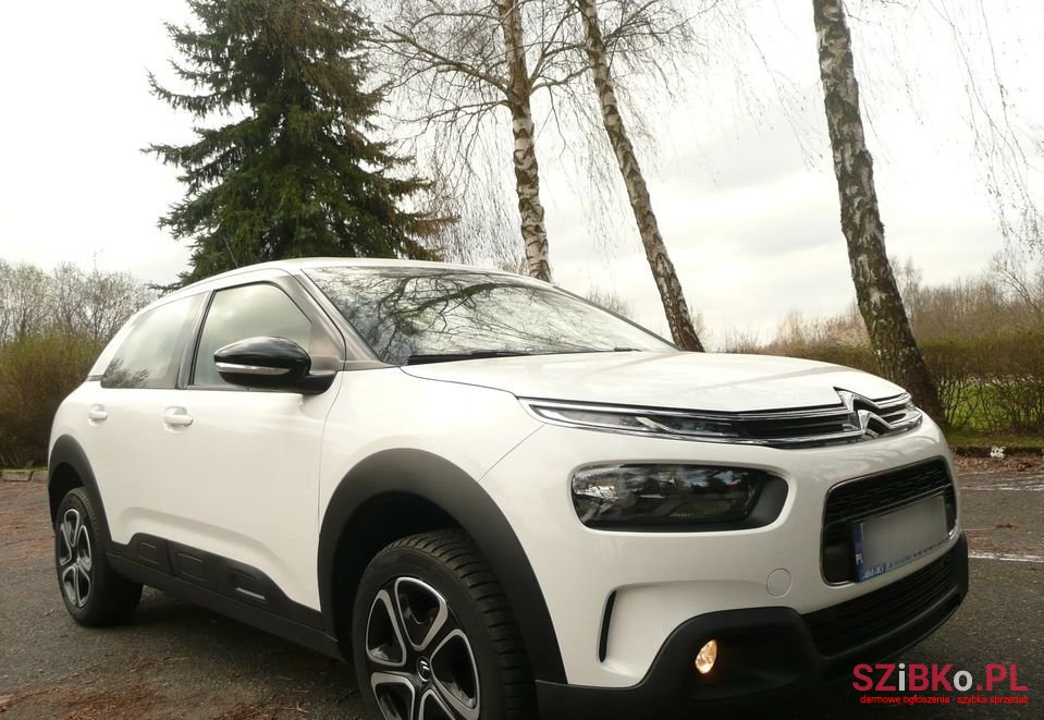 2020' Citroen C4 Cactus photo #1